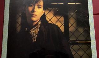 我曾用心爱着你