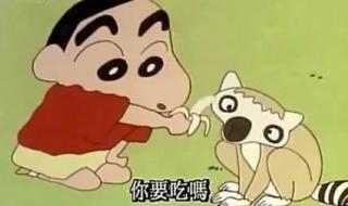 蜡笔小新森林大冒险 蜡笔小新森林大冒险