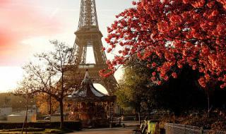 我还在原地等你 我还在原地等你