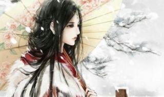 女尊世界的高手夫君 女尊世界的高手夫君