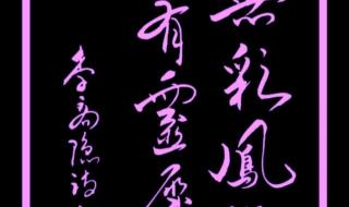 身无彩凤双飞翼下句 身无彩凤双飞翼下句