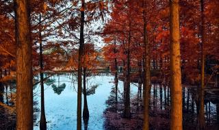 莘庄工业区 莘庄工业区