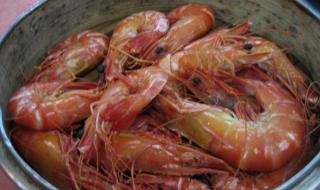 珠海横琴岛 珠海横琴岛