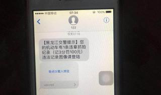 黑龙江省交通违章查询 黑龙江省交通违章查询