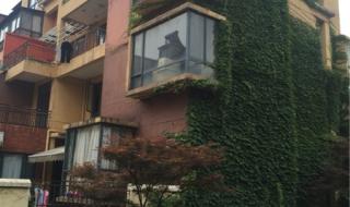 武汉万科四季花城 武汉万科四季花城