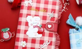 制作闺蜜手账本