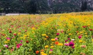 幽谷神潭自然风景区