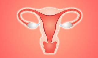 附件炎的症状有哪些 附件炎的症状有哪些