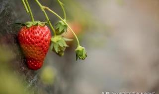 北京郊区好玩的地方