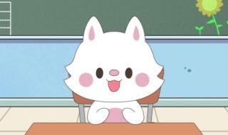 狗都不谈的四大星座