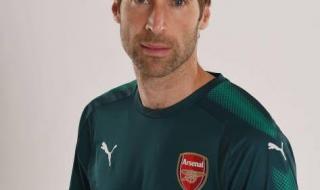 阿森纳历史最佳门将